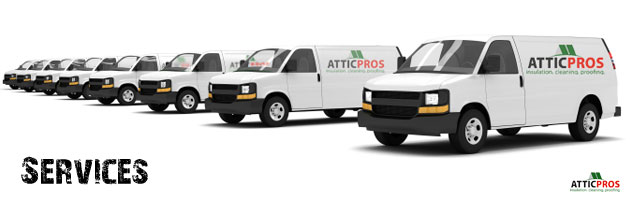 attic-cleaning-services